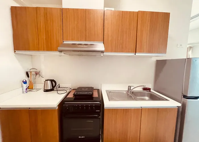 1 Bedroom Near Us Embassy And St Lukes Medical Clinic Manila